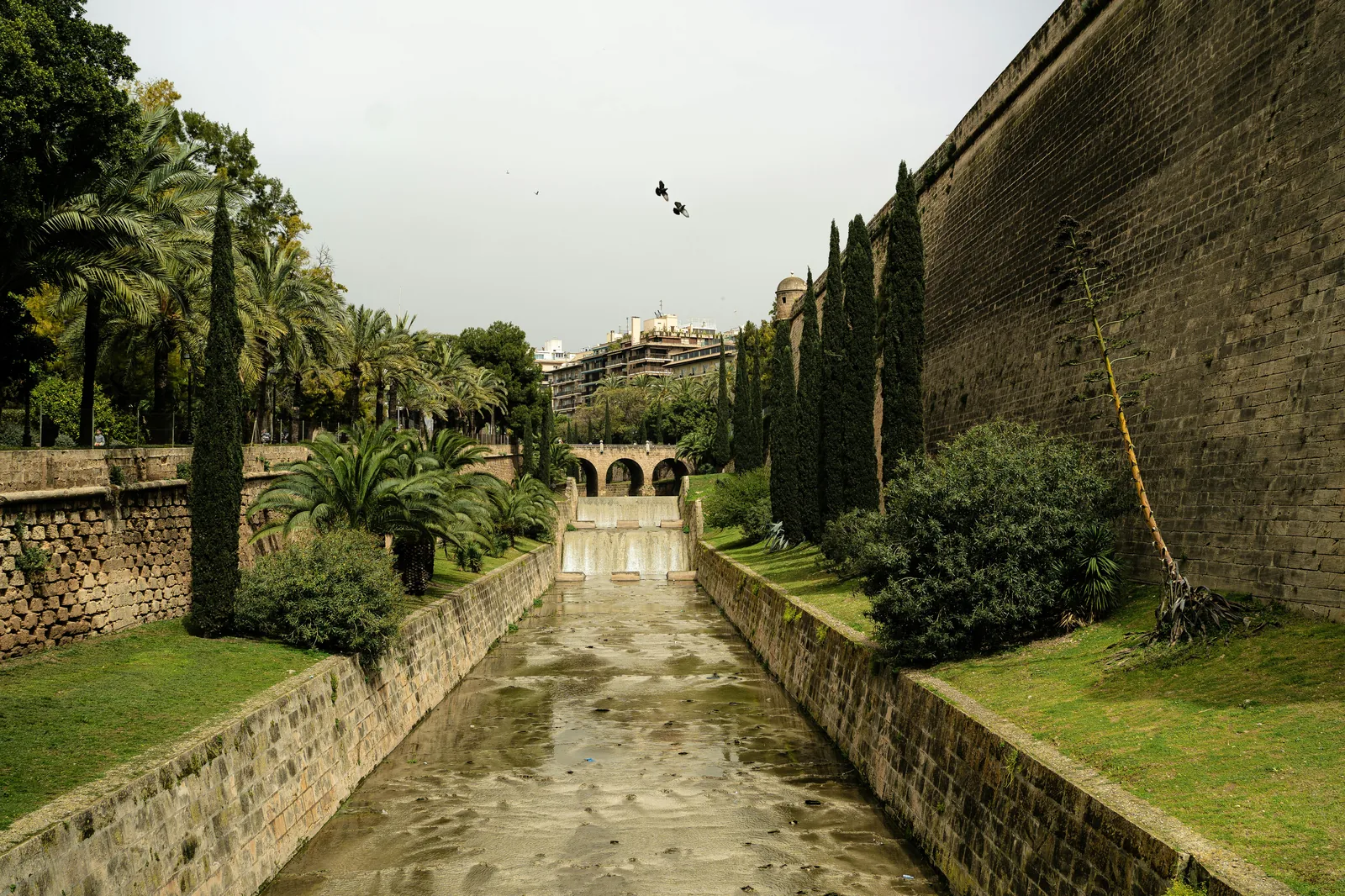Bains Arabes de Palma : visite pratique d’un trésor discret au cœur de la vieille ville