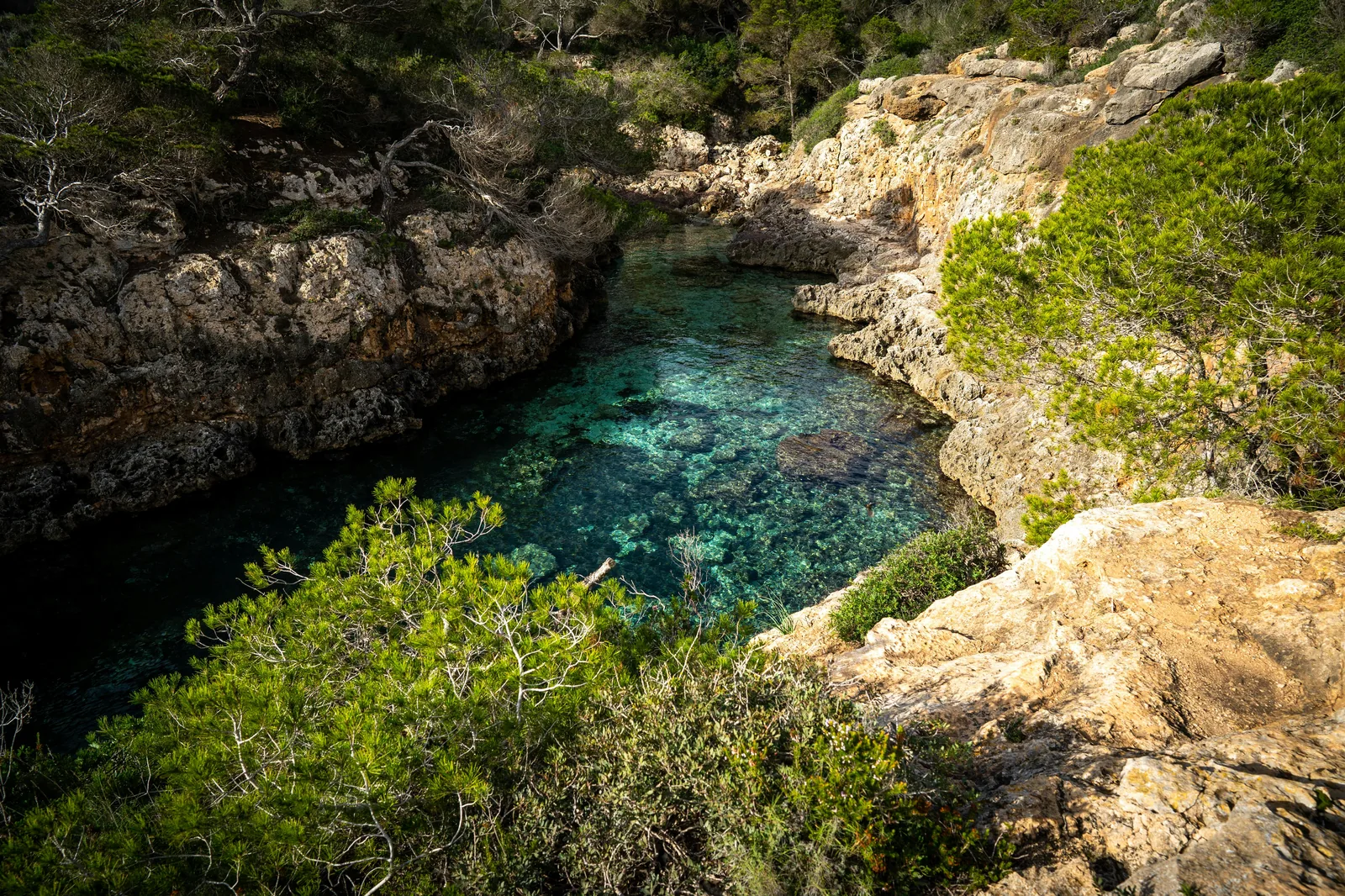 Aerial view of Cala Mondragó-style cove at golden hour.