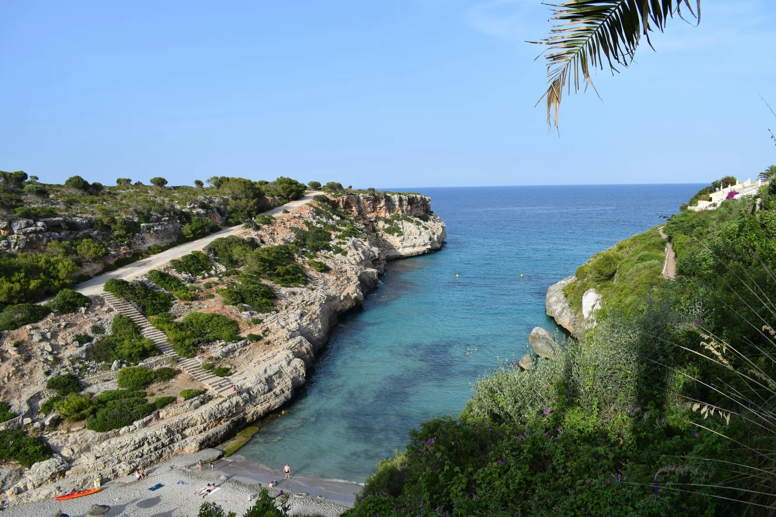 Trail opening to the beach through pine woodland.