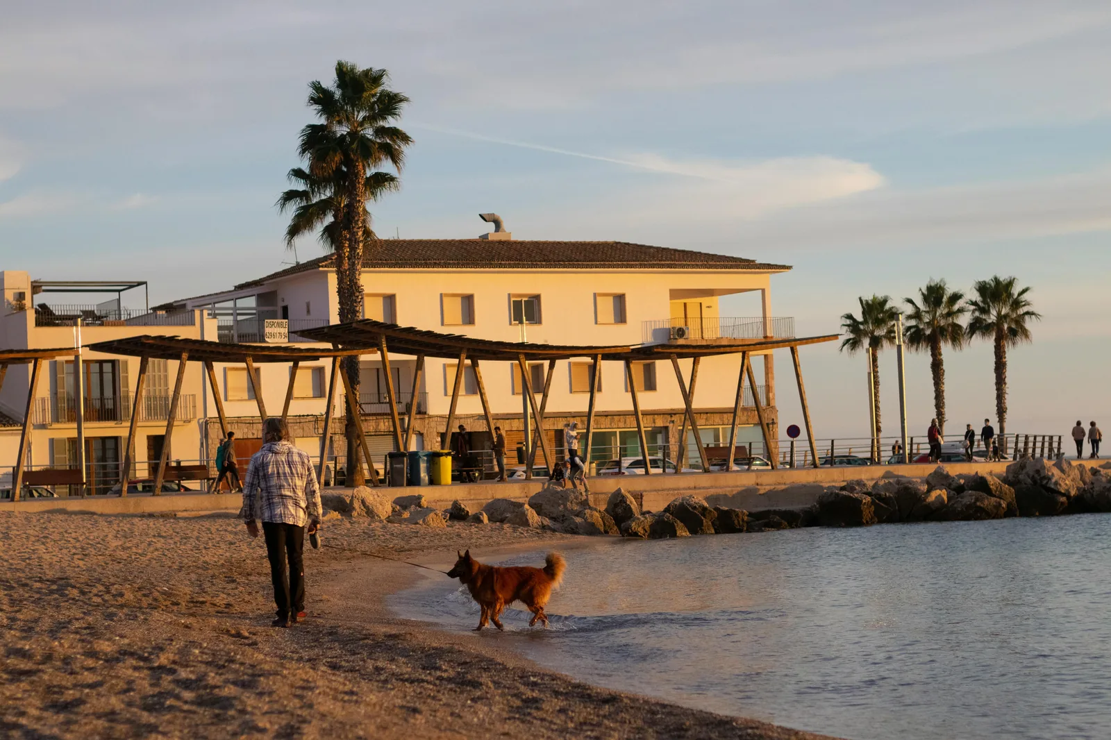 Diagrammatic map of beach zones and development issues (no text).