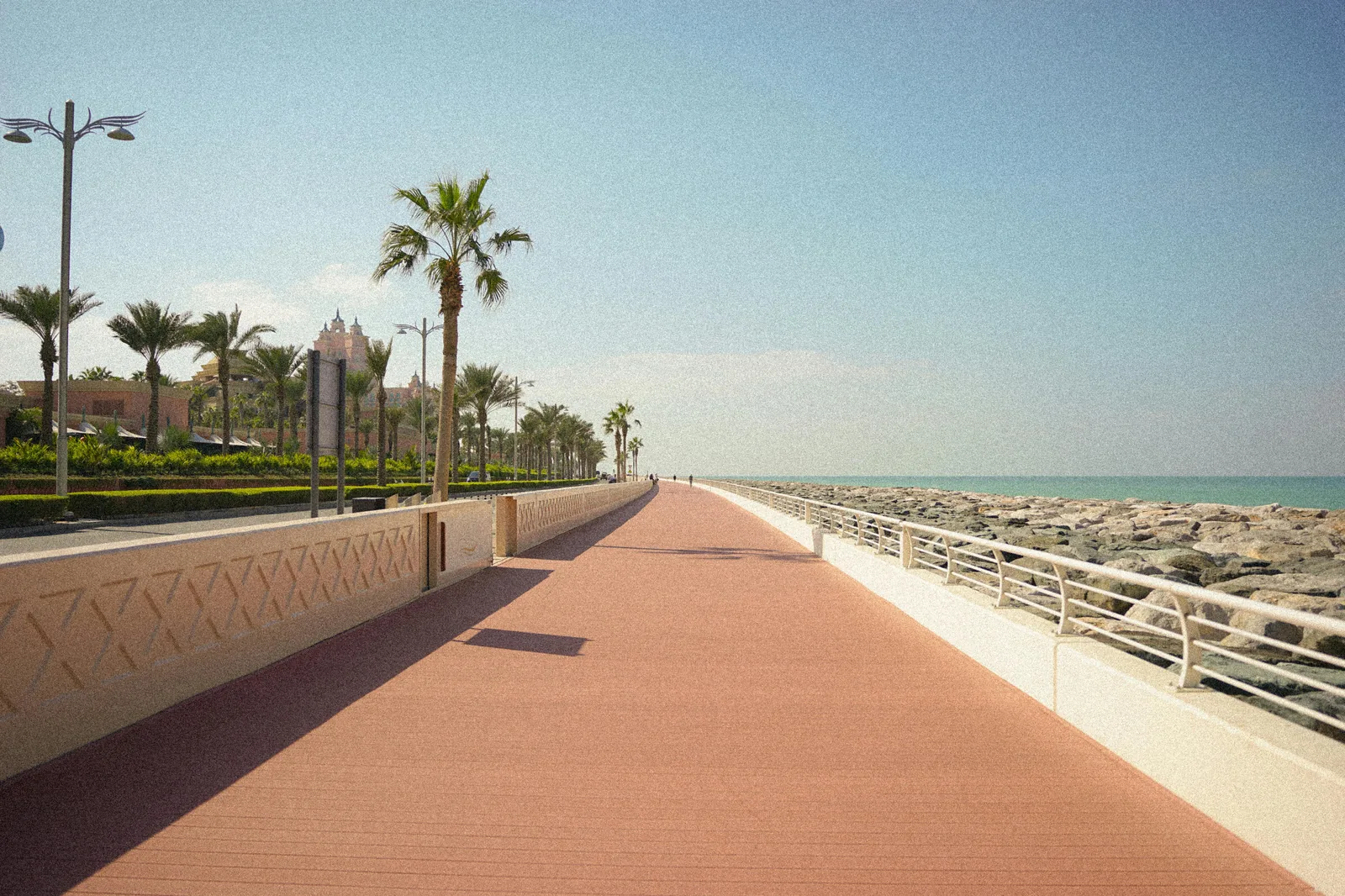 Promenade en bord de mer à Palma, bordée de palmiers et de plages urbaines.