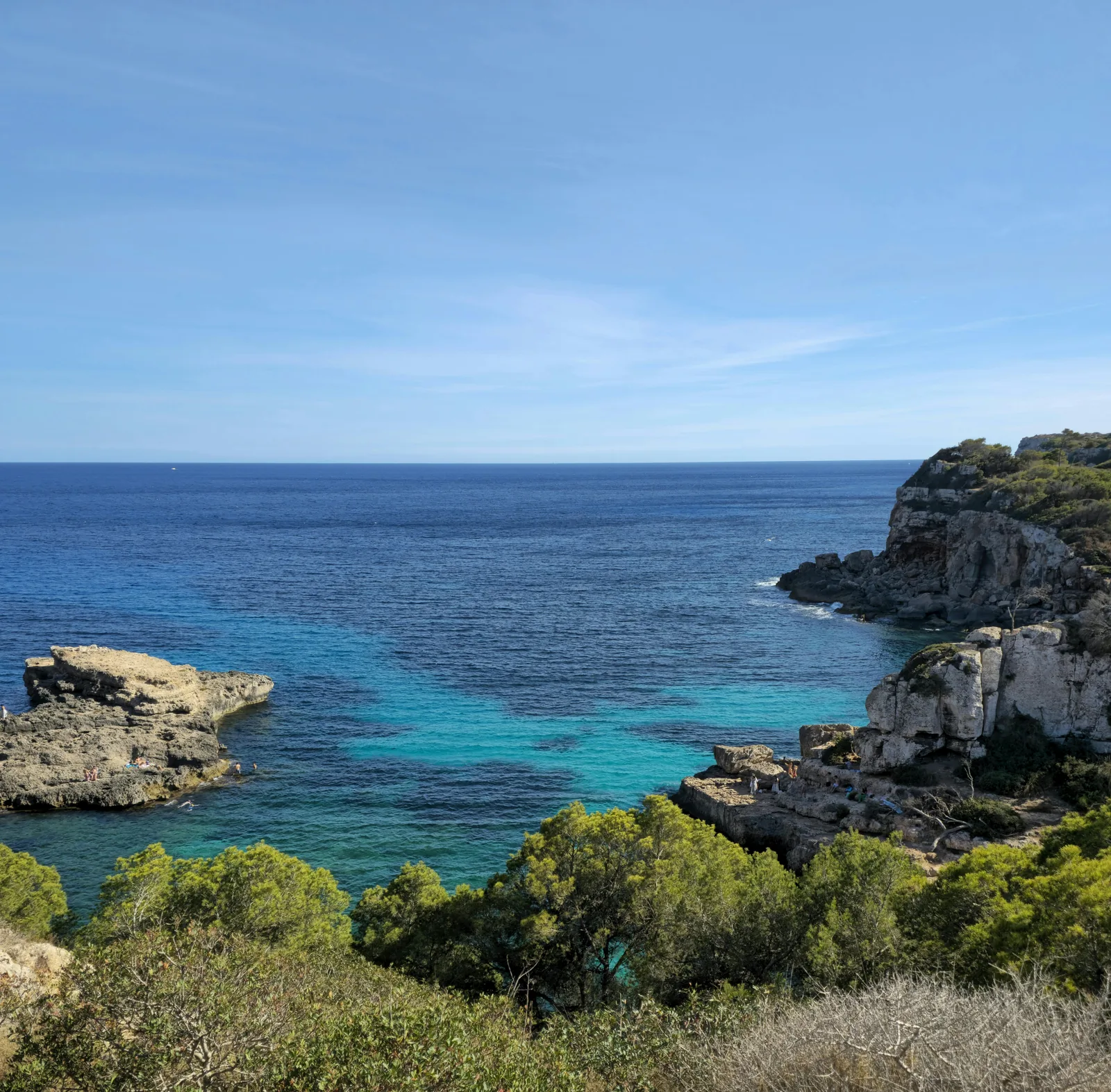 Intimate shoreline detail of a secluded cove.