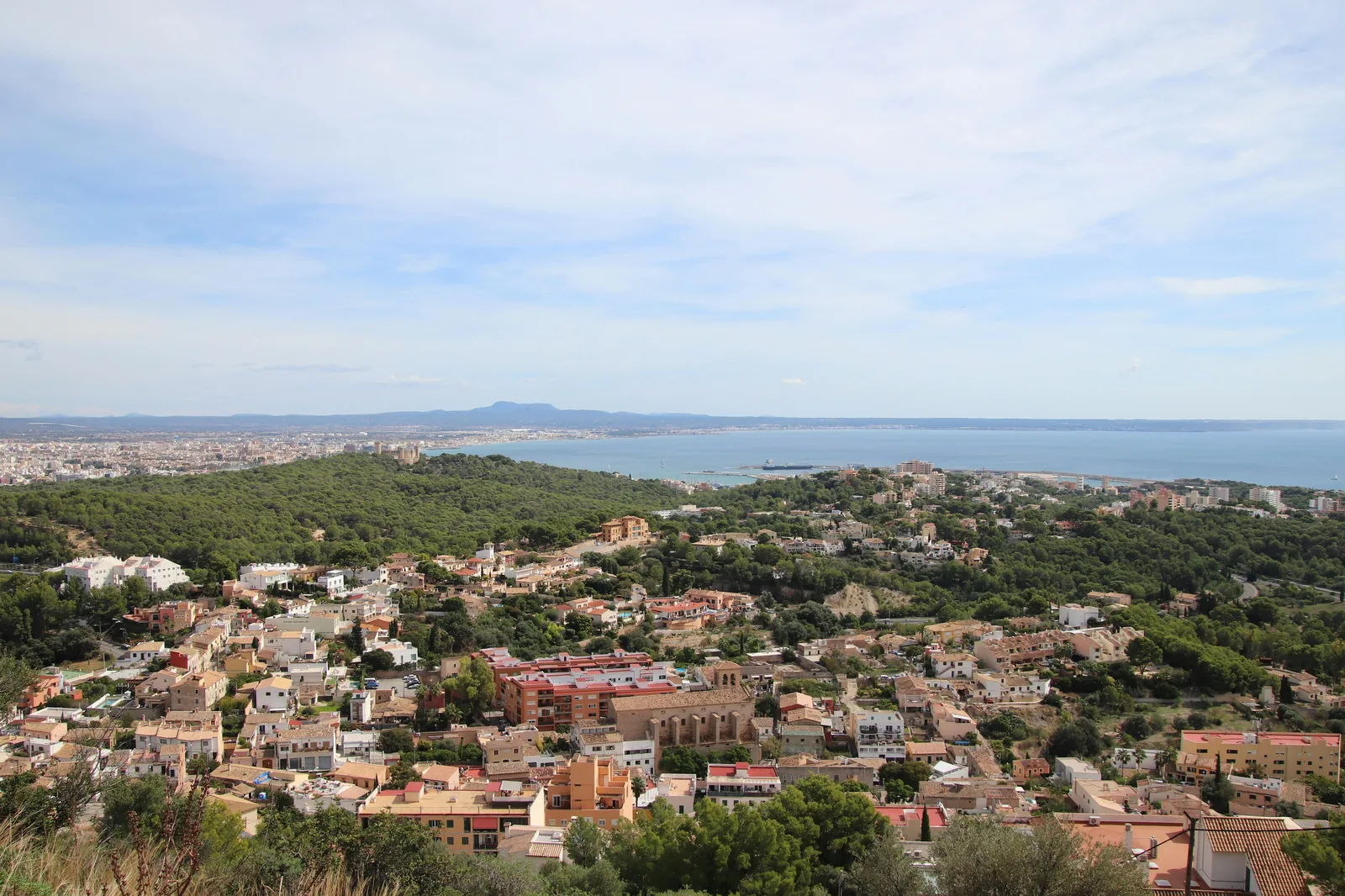 Aerial view of Palma's old town and cathedral.