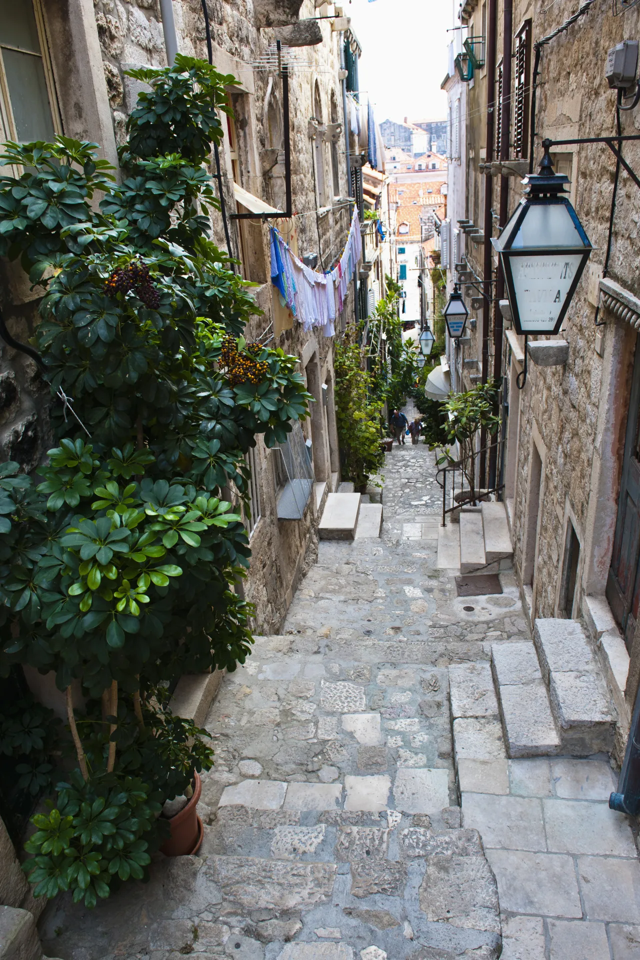 Paseo del Borne à Palma : histoire, monuments et conseils pratiques pour le visiter à pied