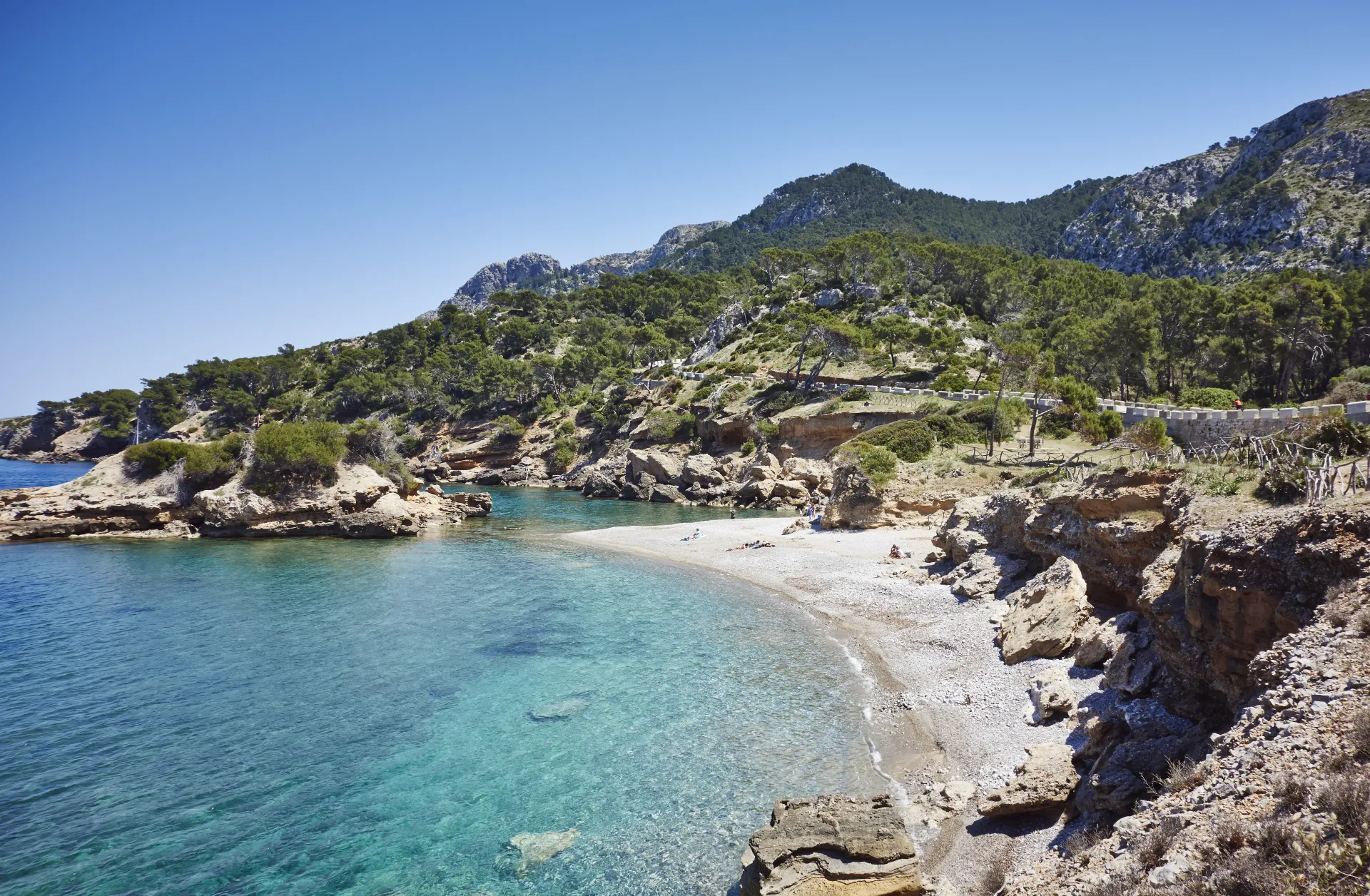 Plage de galets isolée avec des eaux turquoise claires, entourée de falaises rocheuses et de collines verdoyantes sous un ciel bleu dégagé.